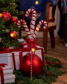 Wilma Zuurstok Trio Kerstdecoratie Wit/Rood