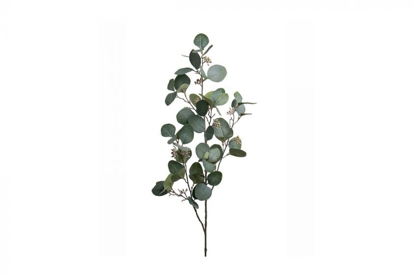 Eukalyptus-tekokasvi