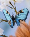 Jouline Decoration Butterfly Blue