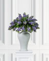 Lilac Cut Flower Blue