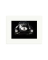 Shelby Cobra Print Only / Small