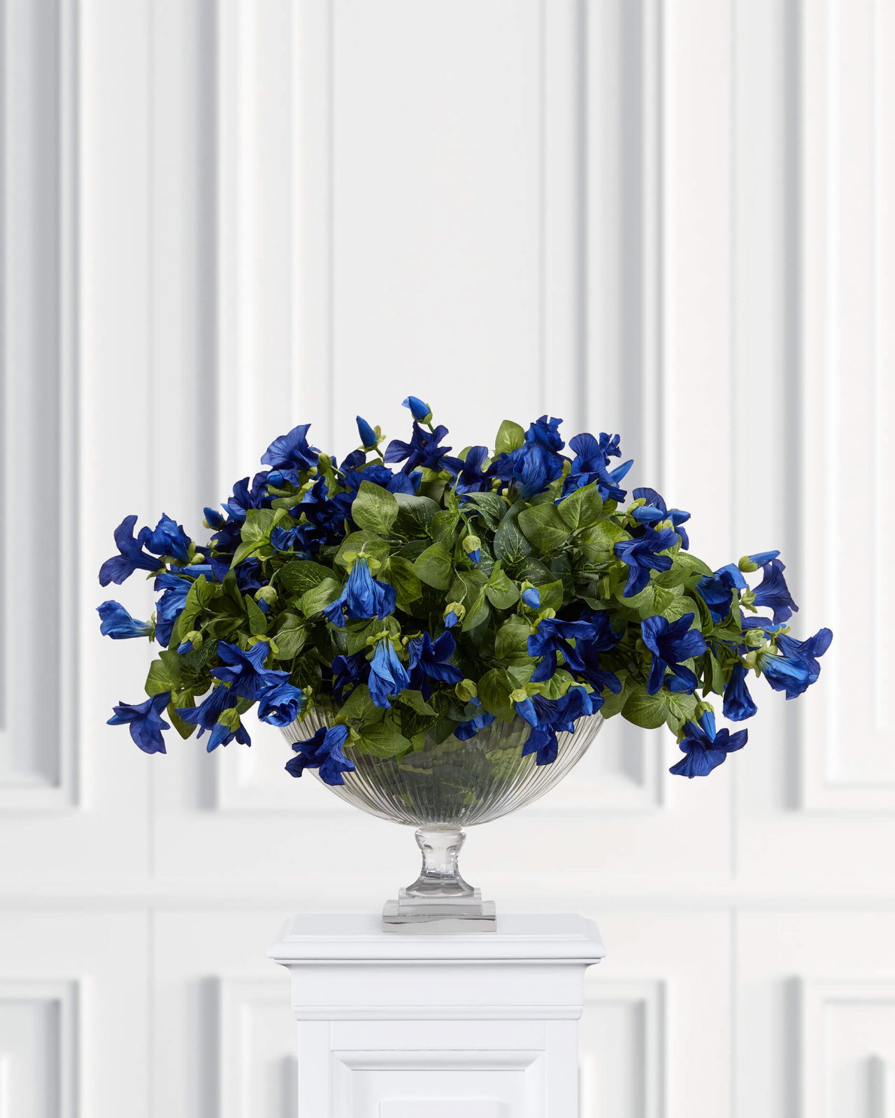 Petunia Potted Plant Blue