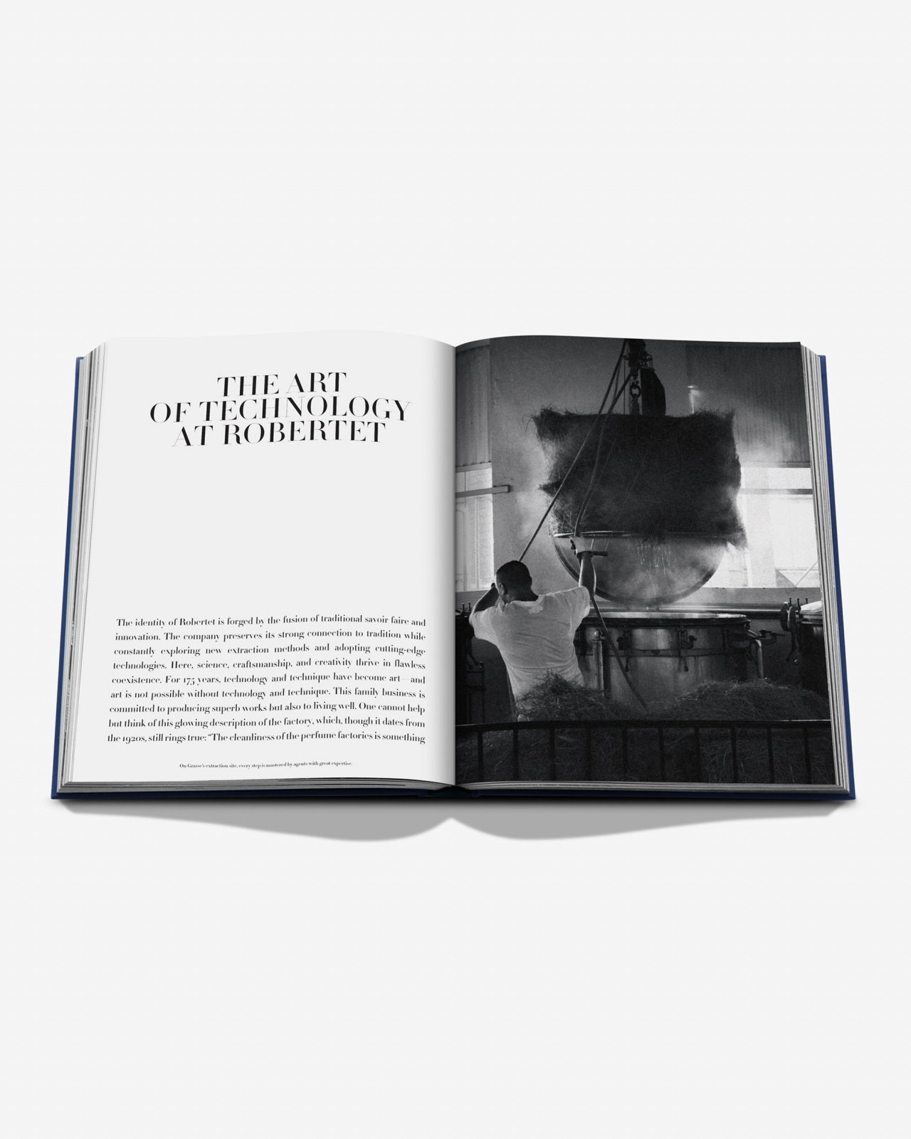 Robertet: From Seed to Scent