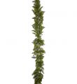 Cypress Garland 185cm