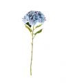 Hortensia – afskåret blomst i blå