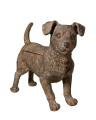 Glenmore dog storage box