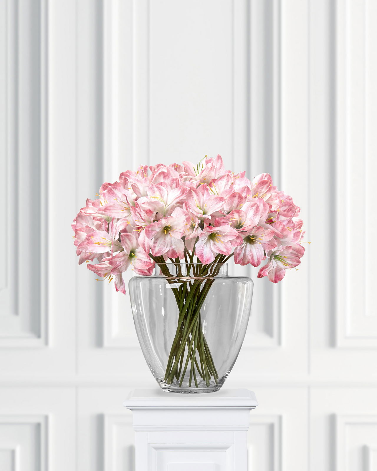 Amaryllis cut flower pink