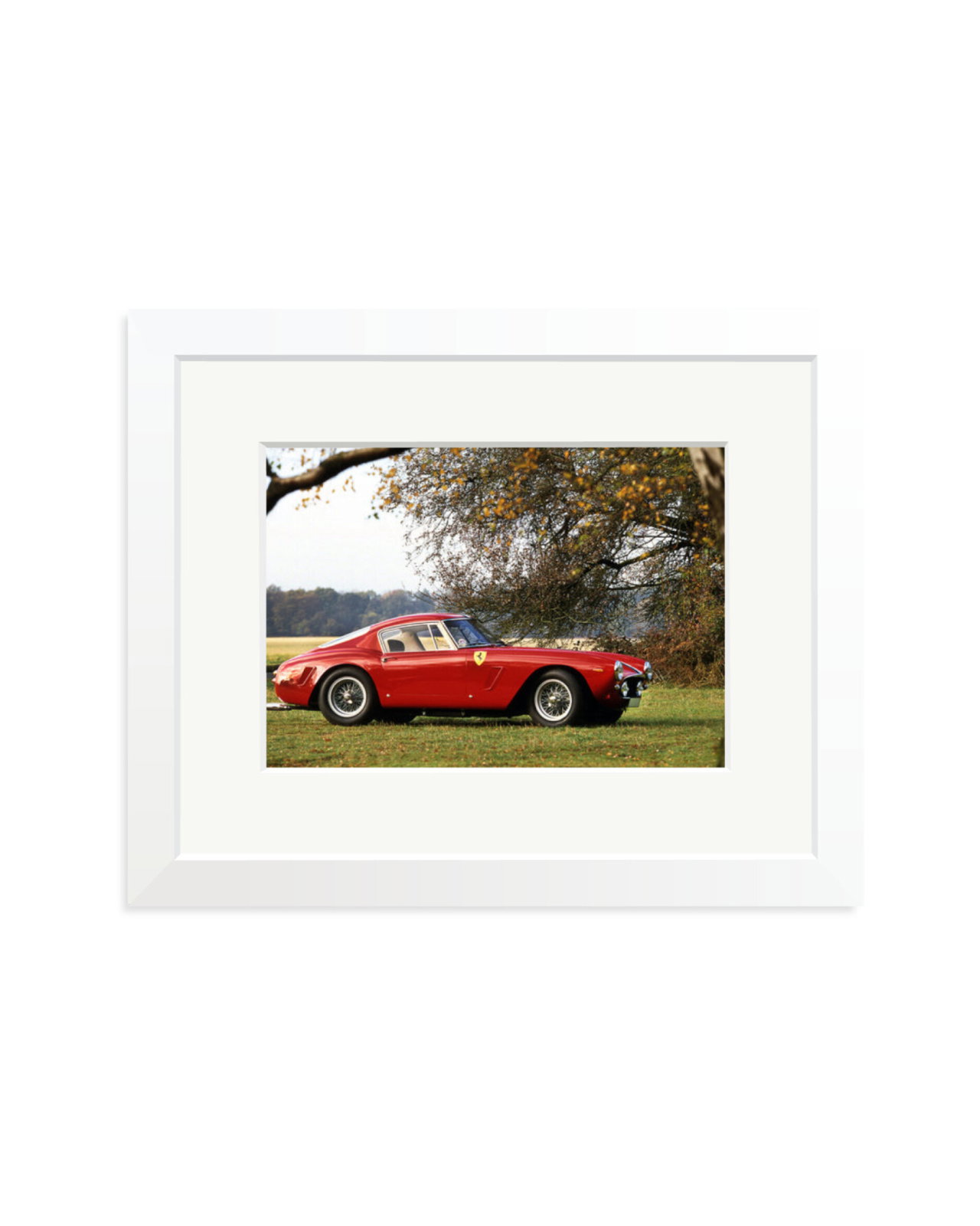 Ferrari Competizione White / Small