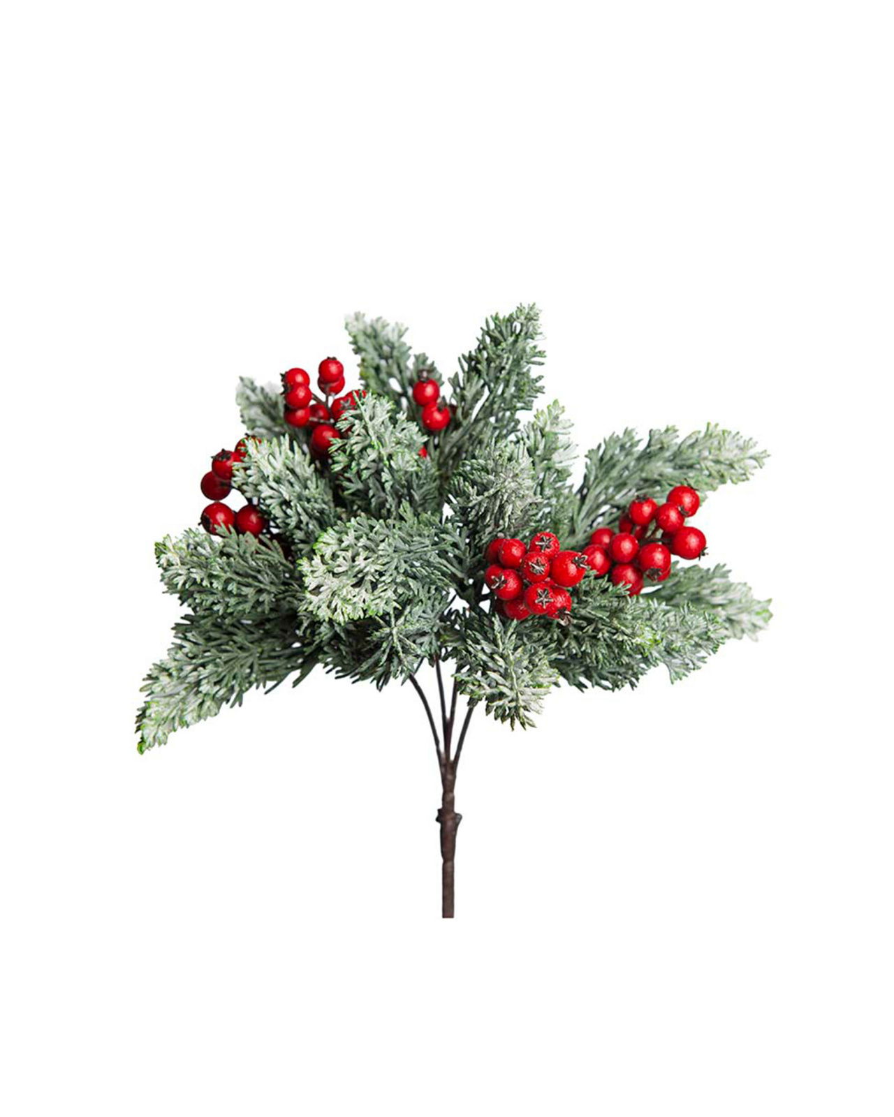 Vinterbär kvist röda bär