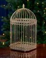 Loretta Birdcage Champagne