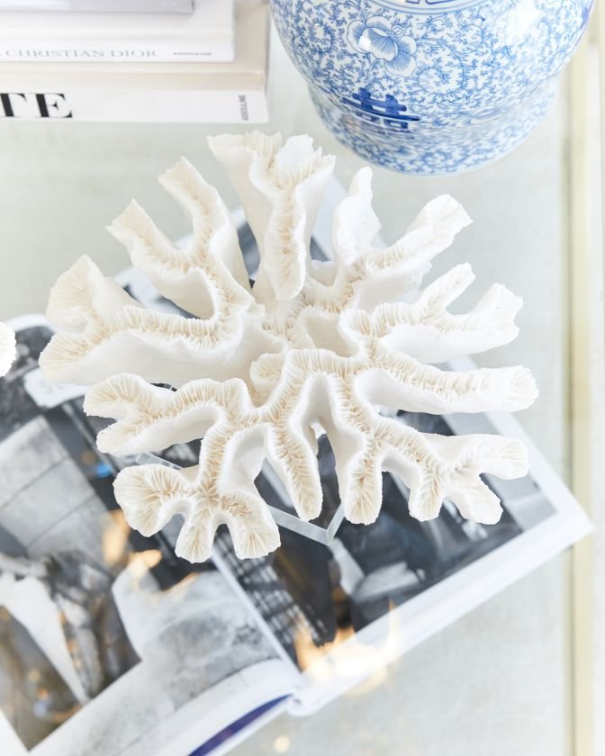 Léonie-koralli, valkoinen