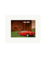 Lamborghini VT Print Only / Small