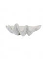 Antran Shell Dish White