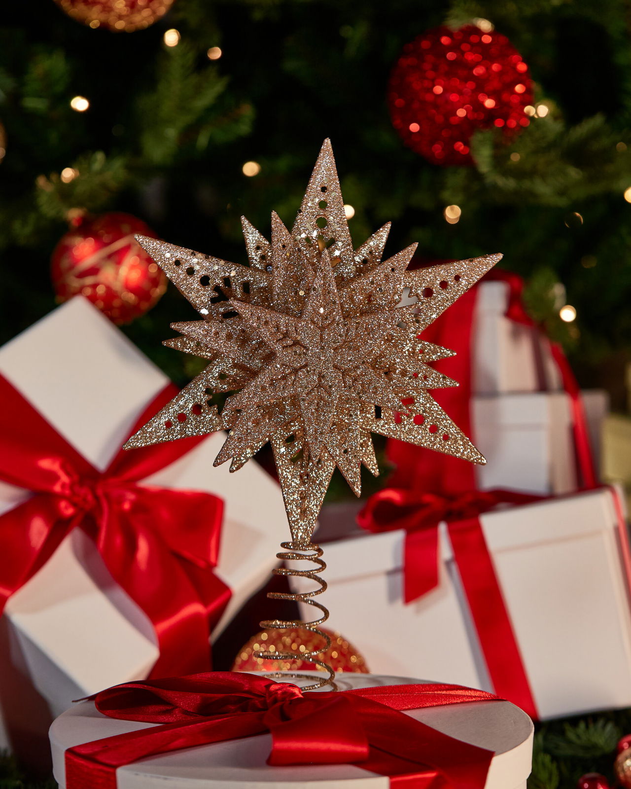 Wendell Spitzenstern champagner