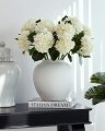 Hortensia snittblomst hvit