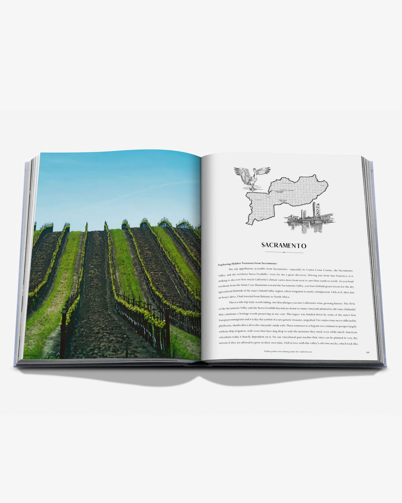 Wine & Travel United States of America