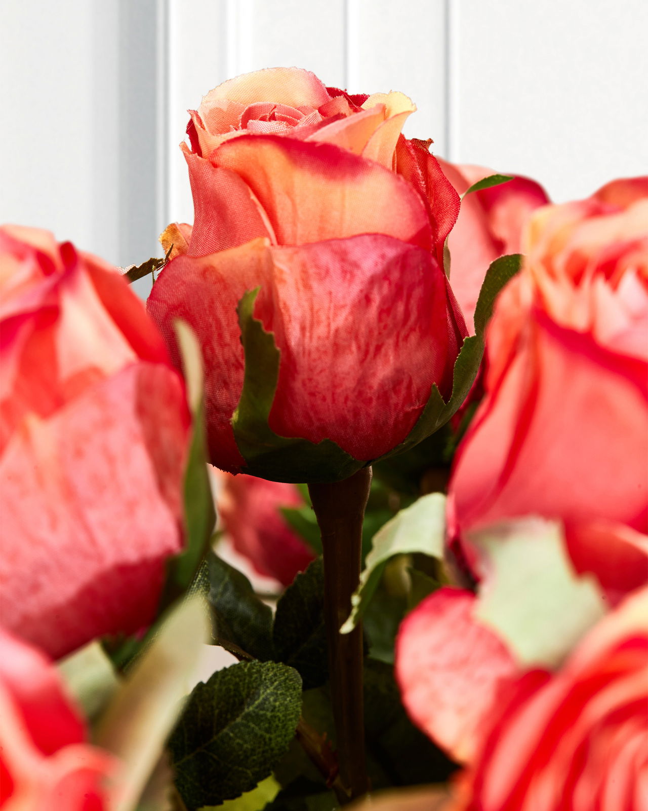 Ros snittblomma korall