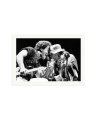 Bruce Springsteen Performs Print Only / XXL