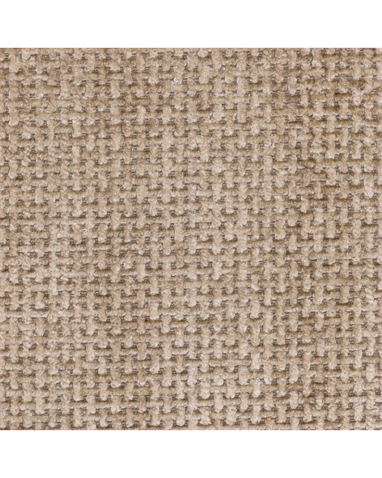 Björn bänk lyssa sand