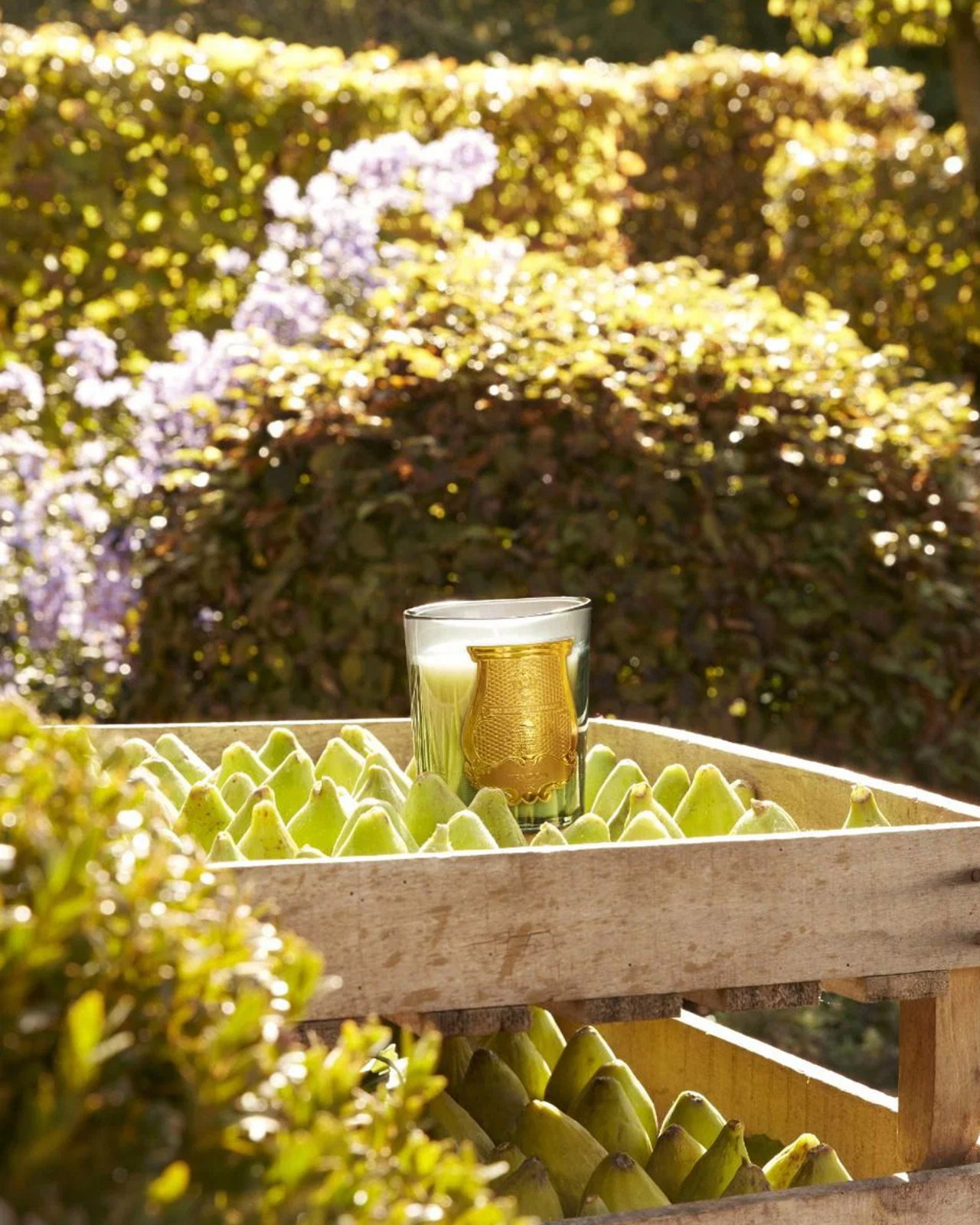 Trudon Figuerie geurkaars