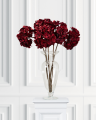 Hortensia snitblomst rød 5-pak