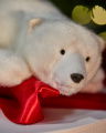 Belle Polar Bear Christmas Decoration