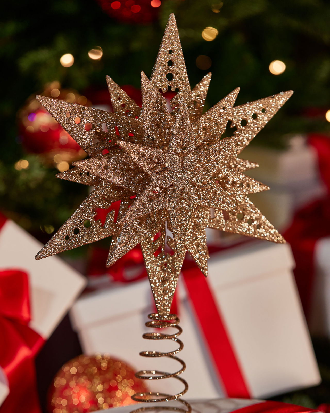 Wendell Spitzenstern champagner