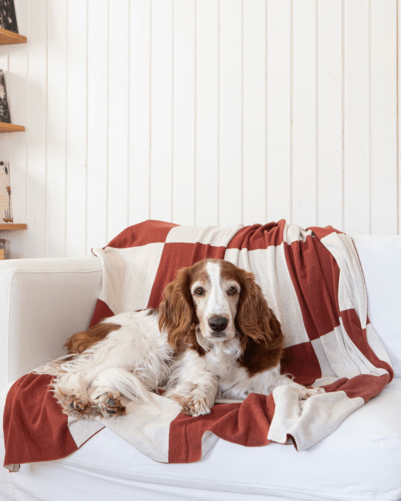 Square Throw Dark Terracotta