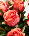 Rose Cut Flower Coral