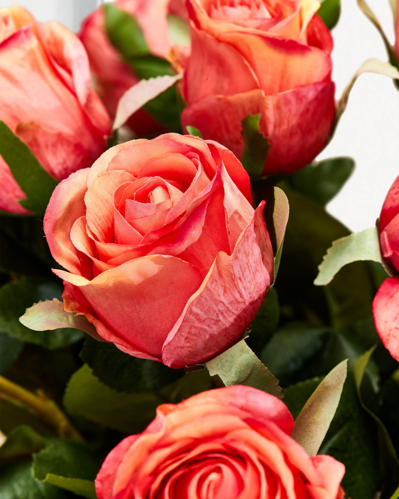 Ros snittblomma korall