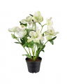 Christmas Rose Artificial Plant White