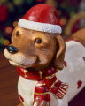 Lucky hund juledekoration