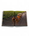 Wine & Travel Latin America