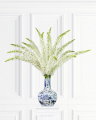 Eremurus Cut Flower White