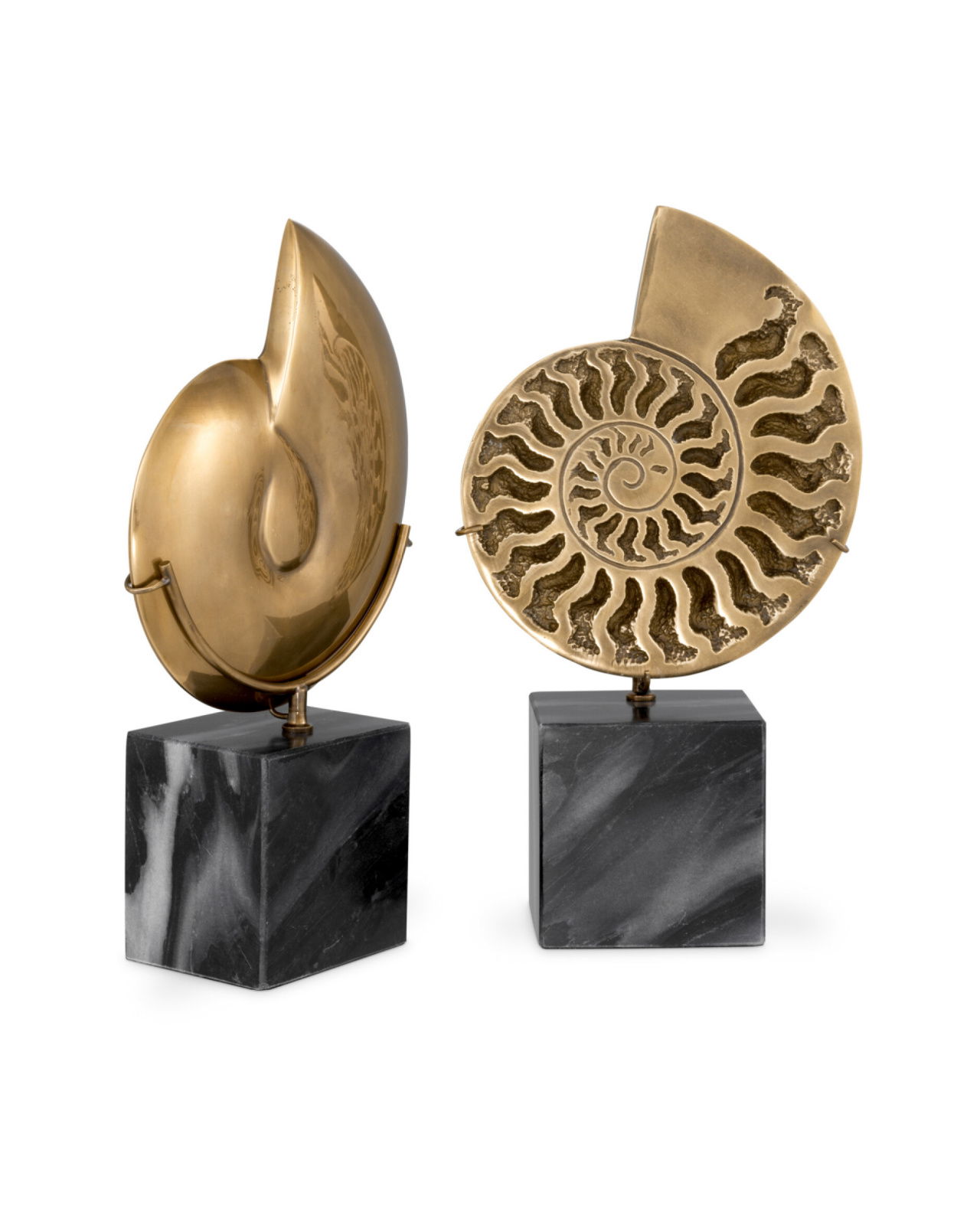 Ammonite Object Vintage Brass Set of 2