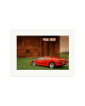 Lamborghini VT Print Only / XL