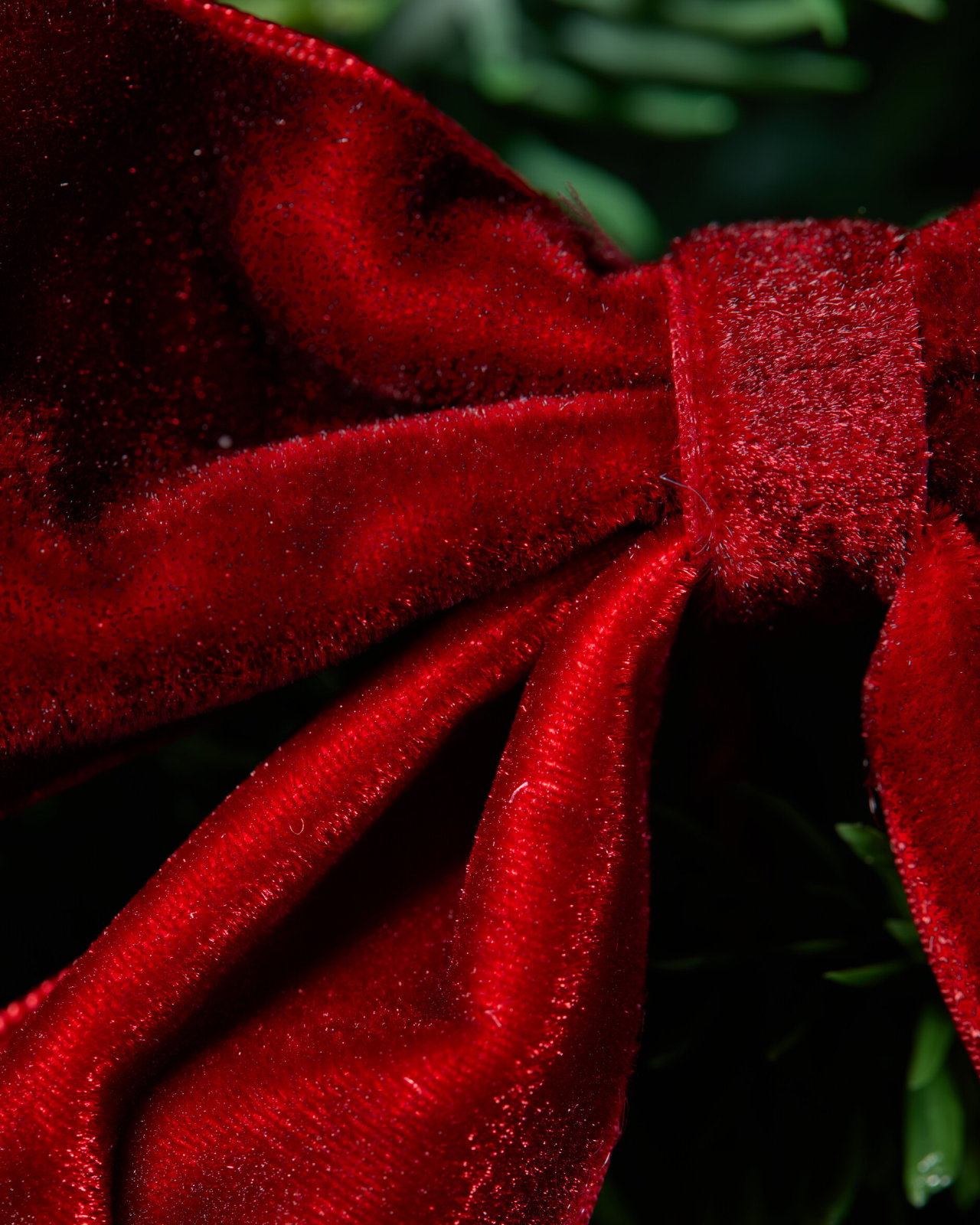 Beth Velvet Bow 6-Pack