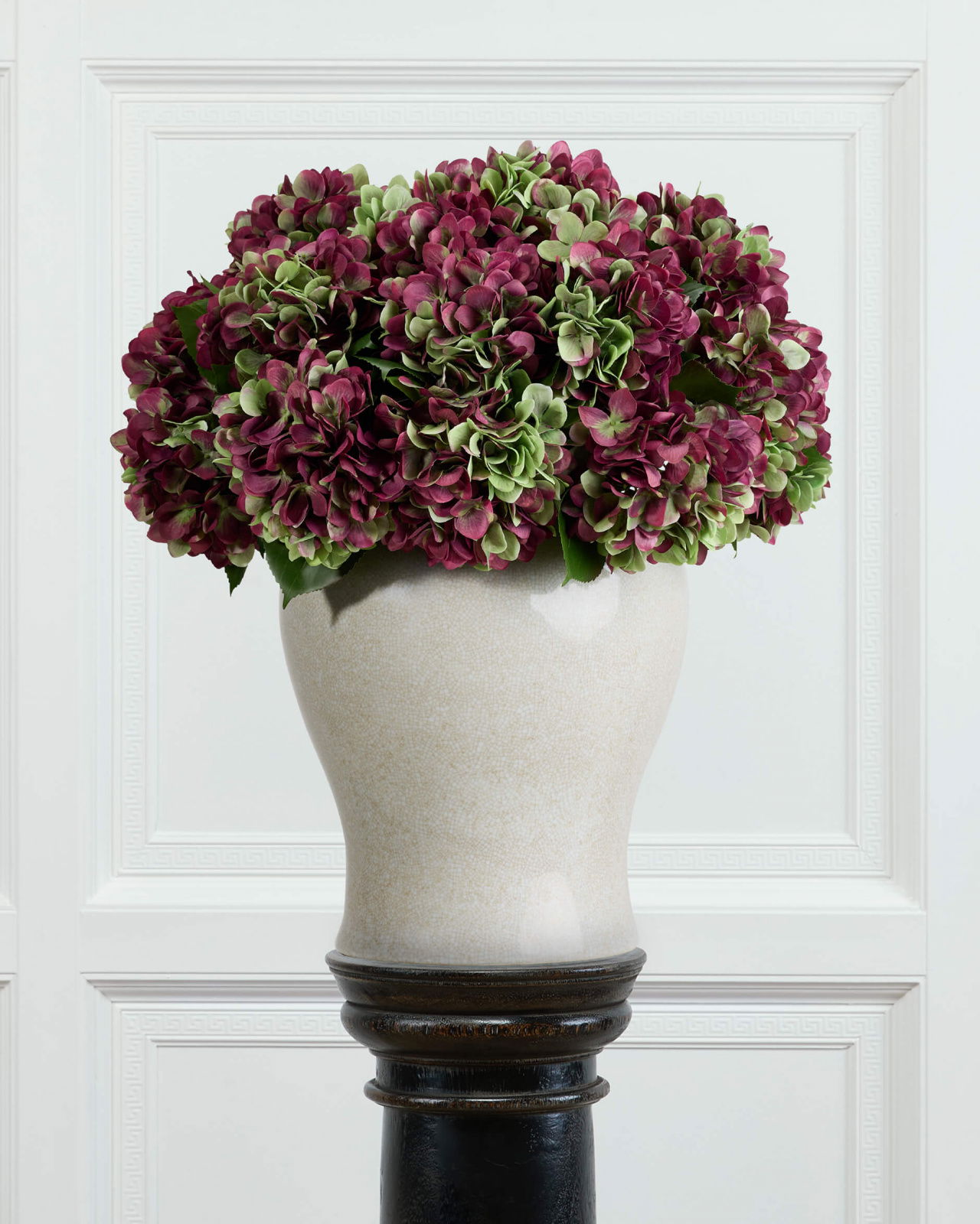 Hydrangea Cut Flower Burgundy/Green