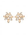 Melia earrings crystal golden shadow