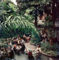Brunch At Brennans