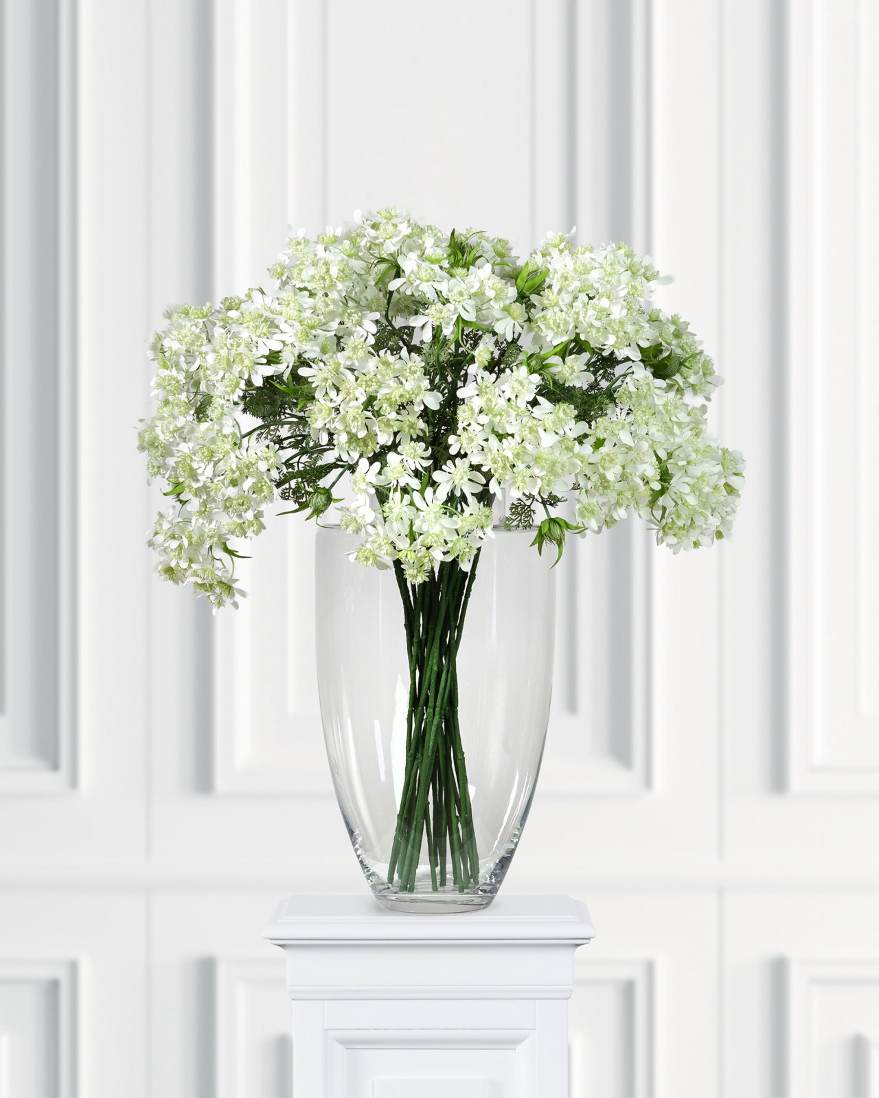 Blomsterkörvel vit