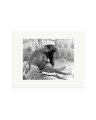 In Bed with Cardinale Print Only / Small