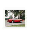 Ferrari Daytona Print Only / XXL