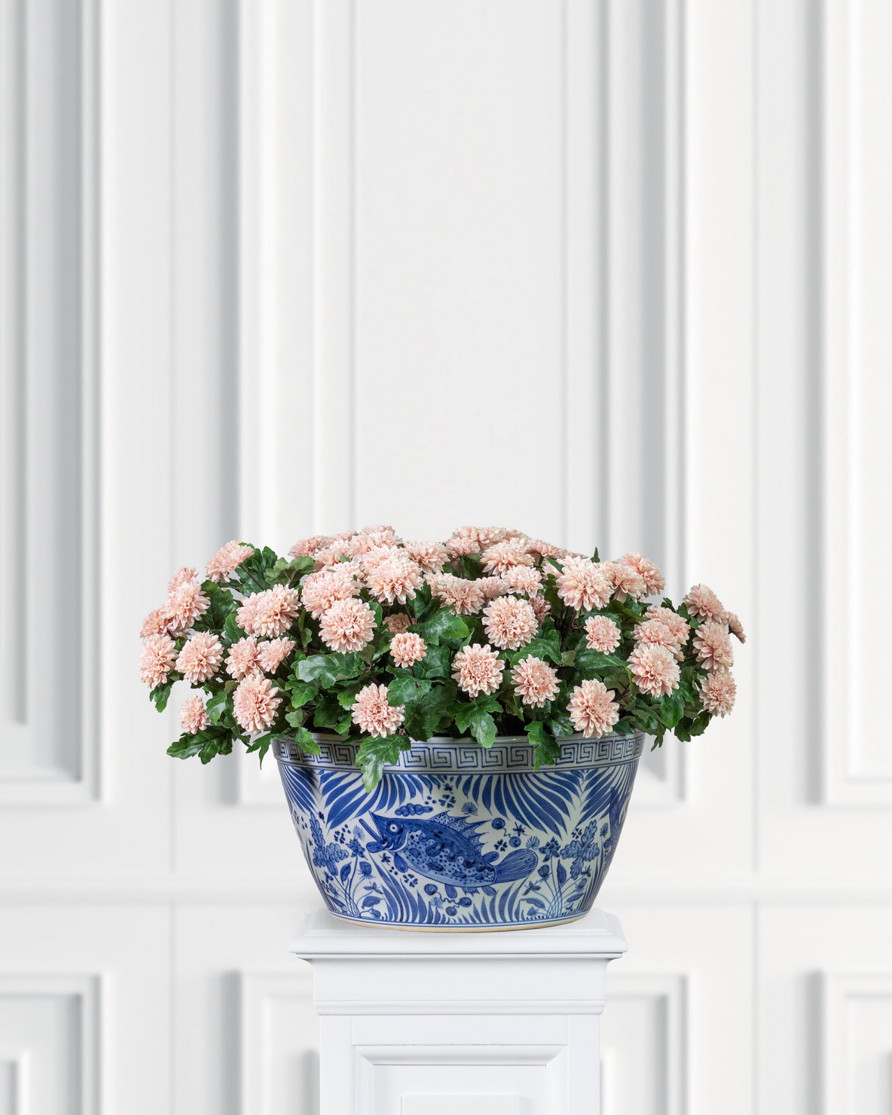 Krysantemum krukväxt rosa