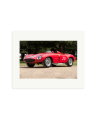 1931 Alfa Romeo Print Only / Medium
