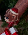 Bruno Dog Christmas Decoration