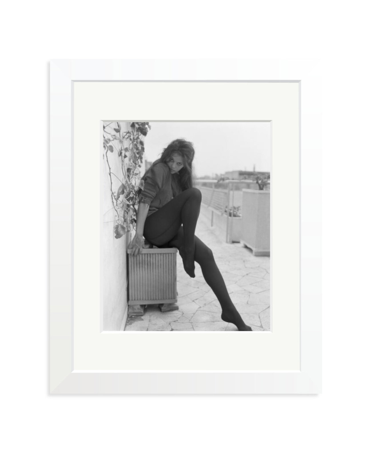 Cardinale Posing in Rome White / Small