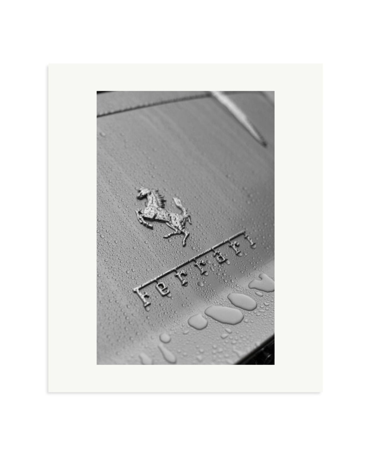 1965 Ferrari 275GTB Print Only / Large