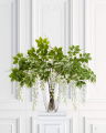 Wisteria Cut Flower White