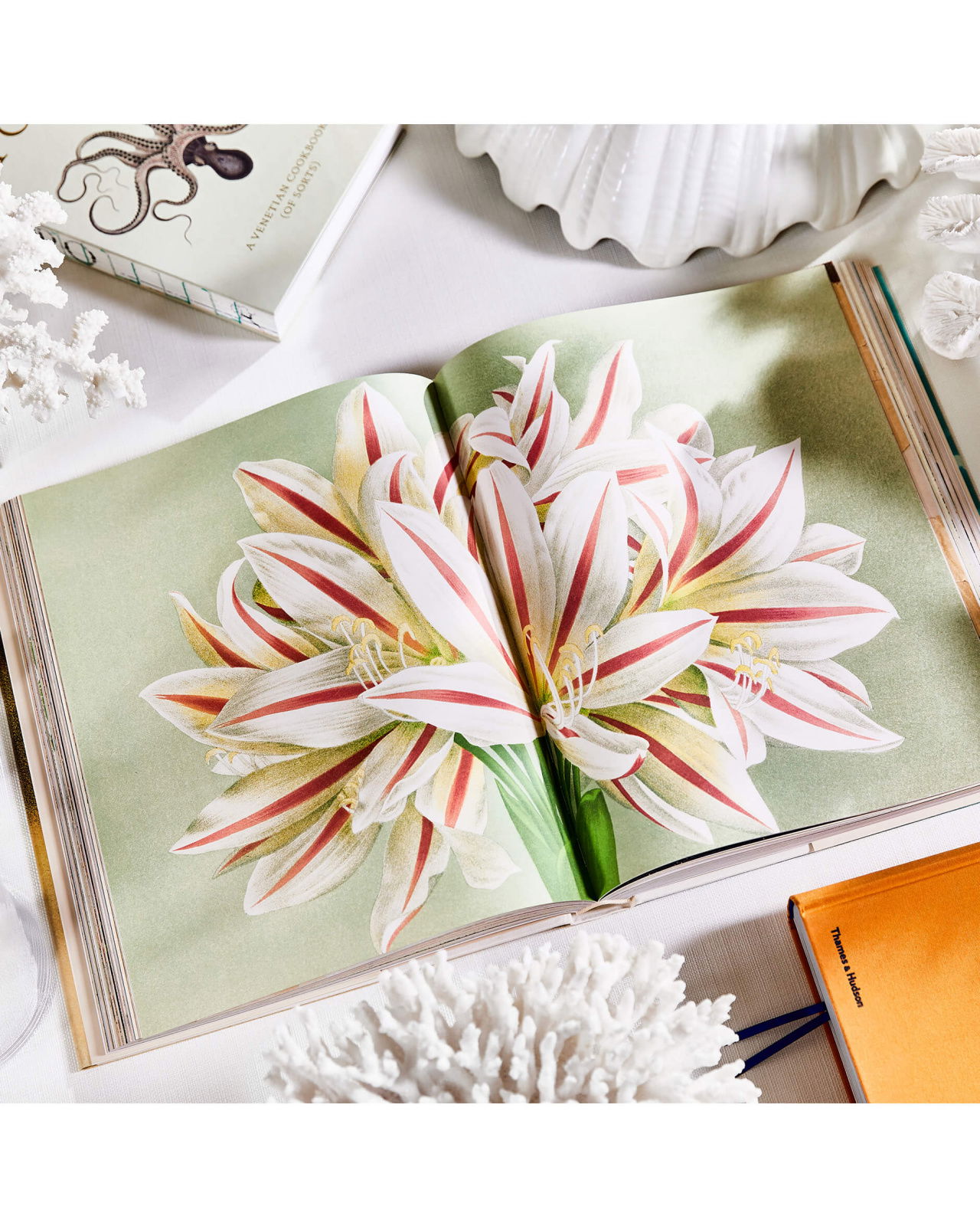 John Derian Picture Book